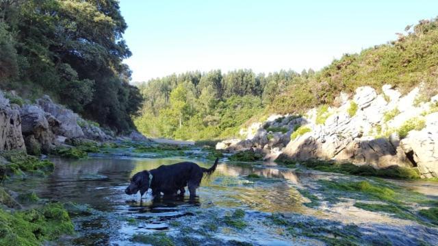 Apartamento Rural Lago Enol Onís エクステリア 写真